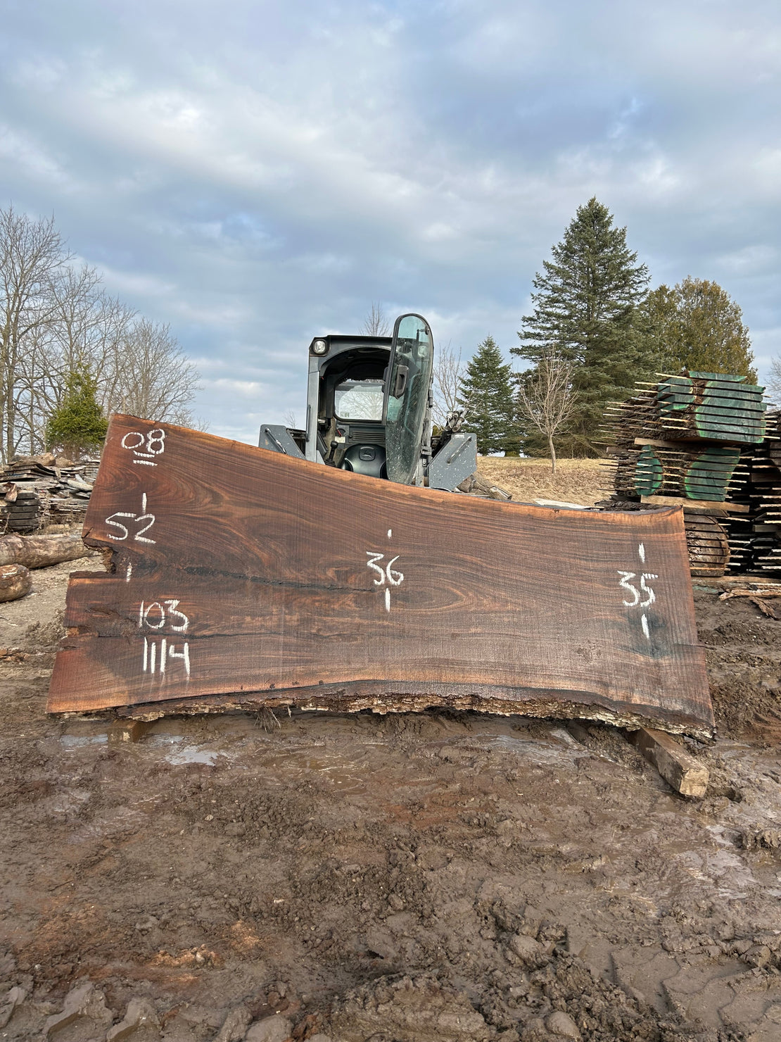 Black Walnut Live edge slabs for dining tables