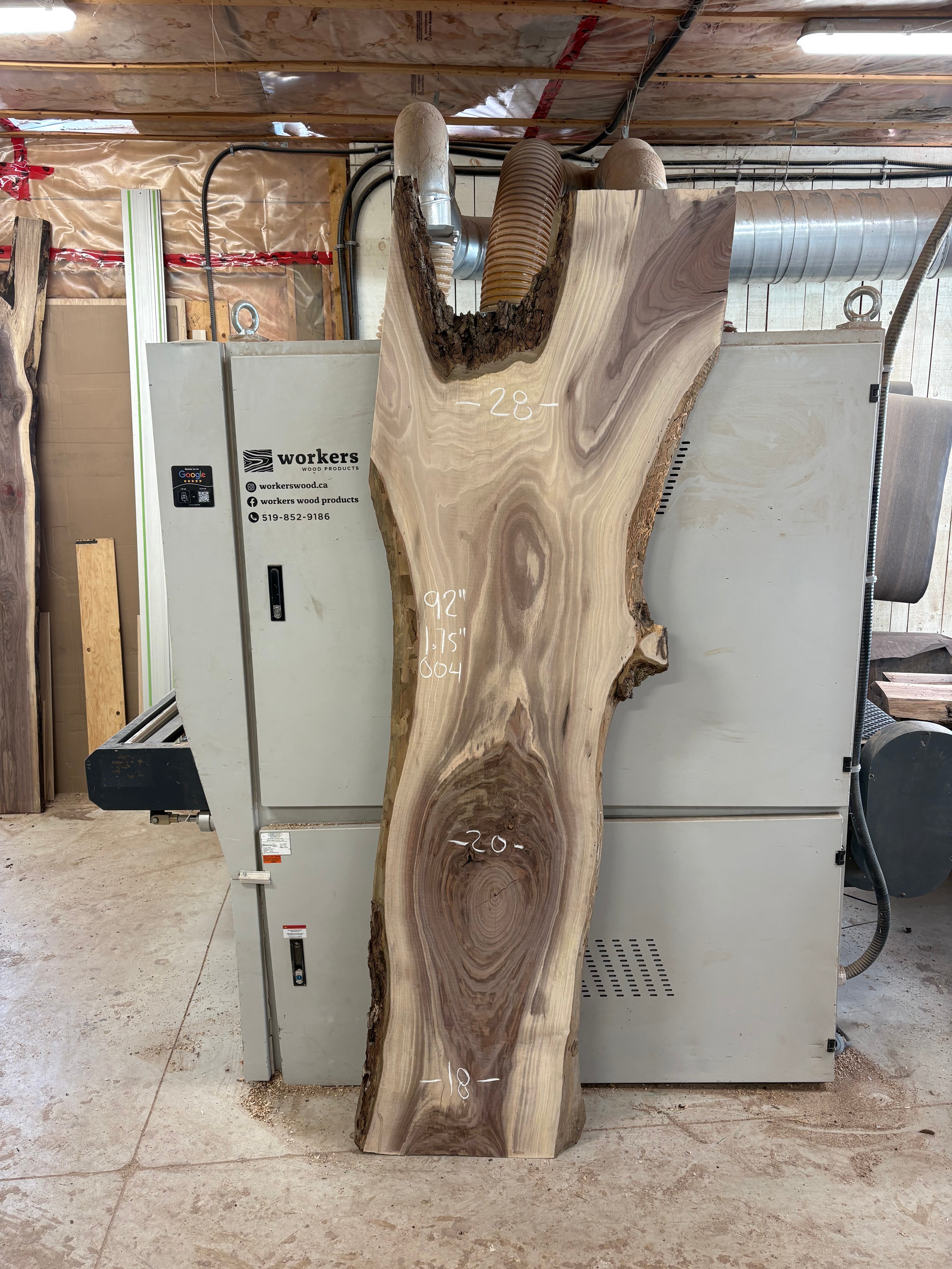 Black Walnut Slab