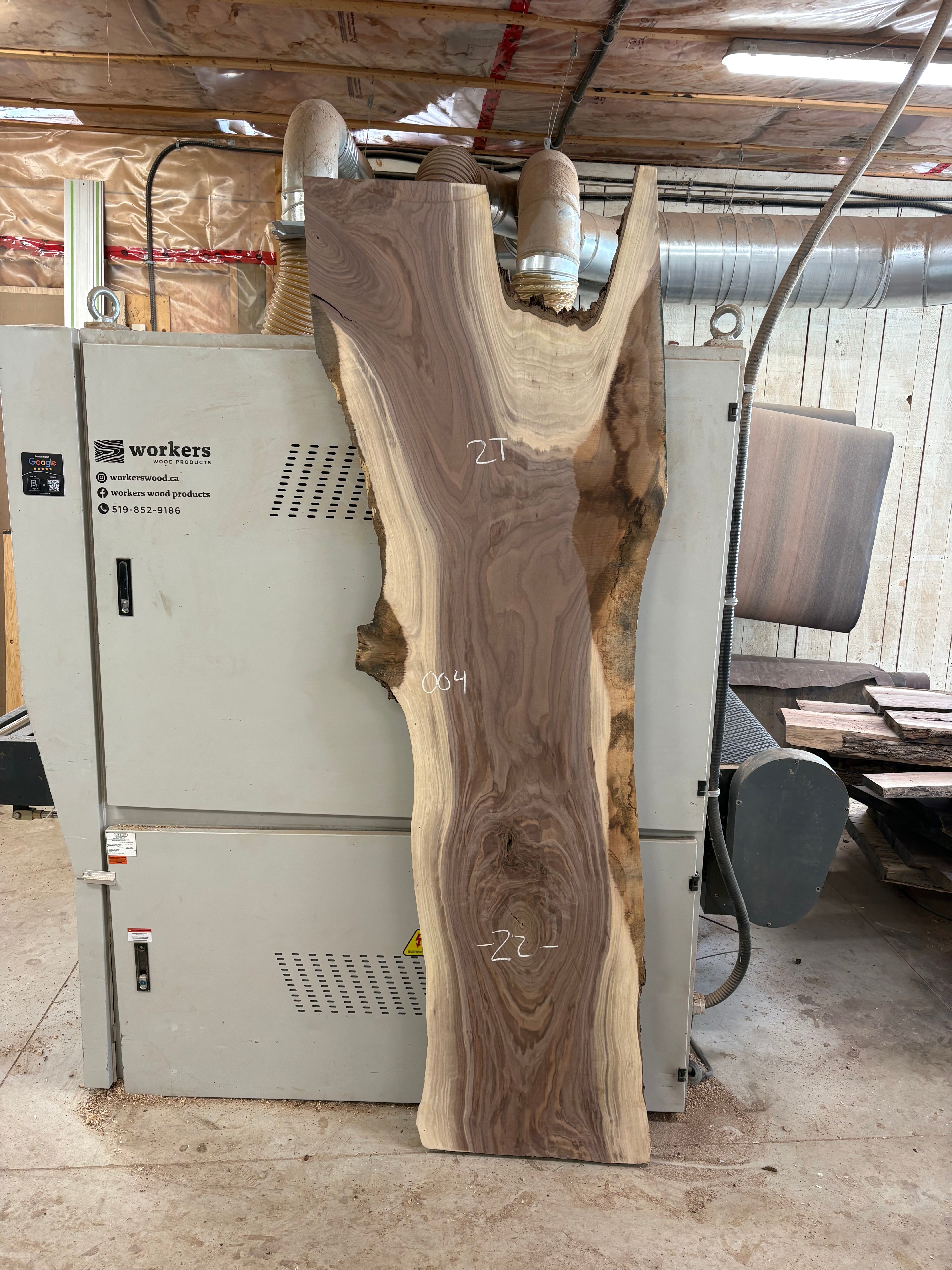 Black Walnut Slab